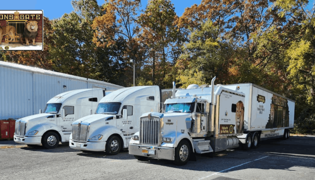 Shipping-Services-in-USA-1024x673-1024x585