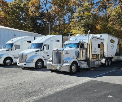 Load more Attachment Details Lyons-Gat-Your-Trusted-Partner-in-Freight-Forwarding